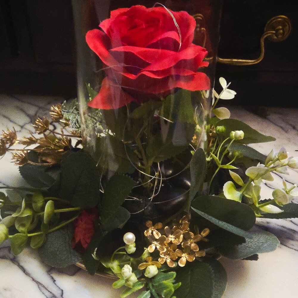 Meet your Posher, Alysia